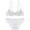 1 Set Elegant Lace Embroidery Breathable Fabric Lingerie Set Push-Up B